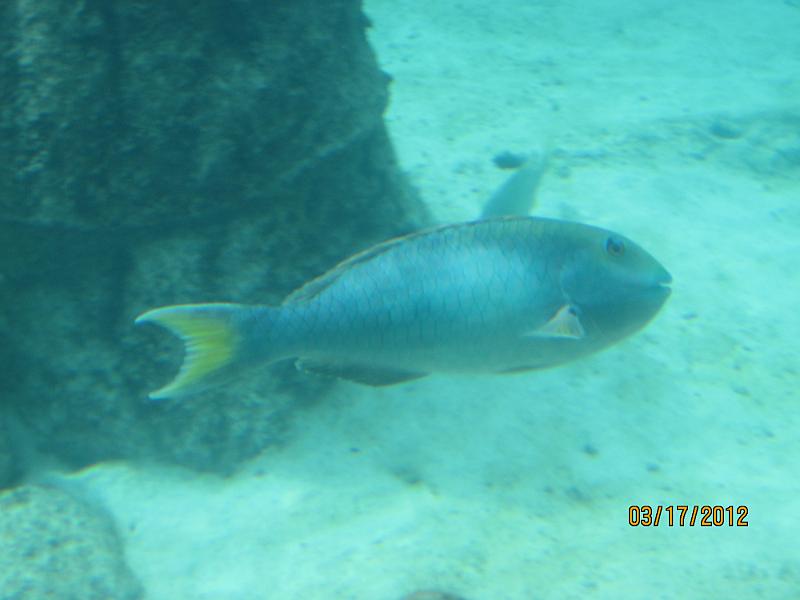 Picture 180